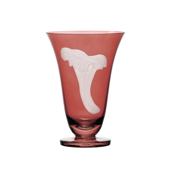 Mushrooms Chanterelle