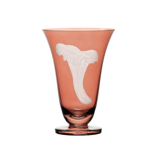 Mushrooms Chanterelle