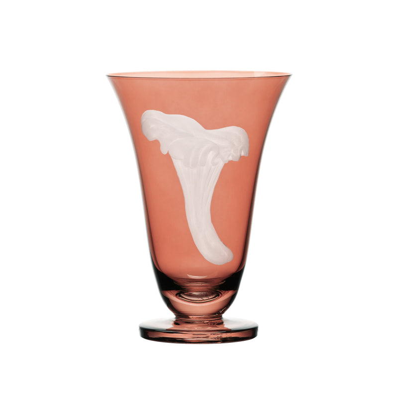 Mushrooms Chanterelle