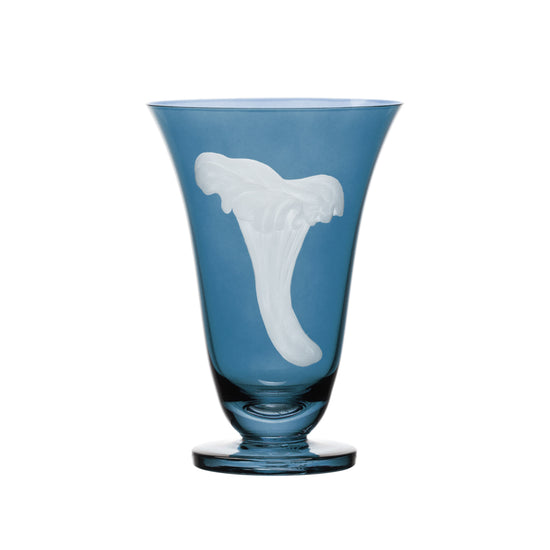 Mushrooms Chanterelle