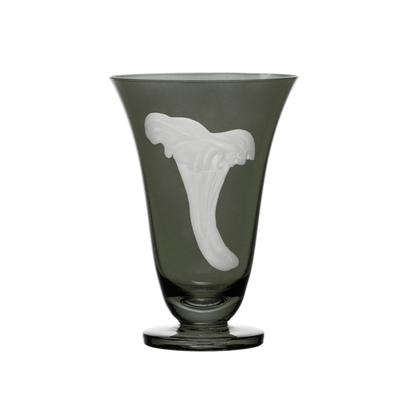 Mushrooms Chanterelle