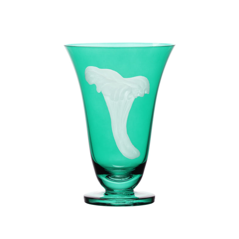 Mushrooms Chanterelle