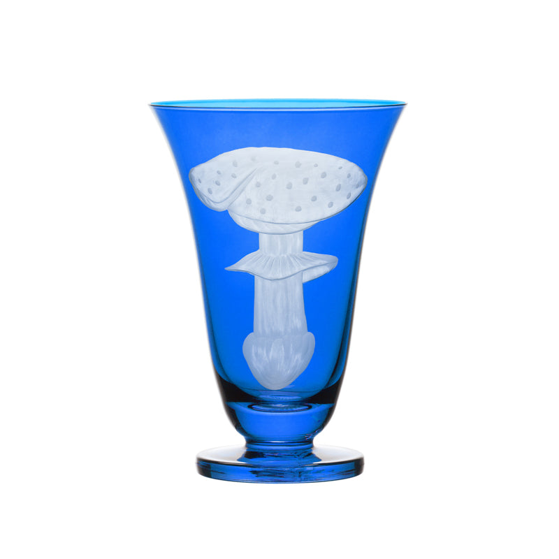 Mushrooms Fly Amanita