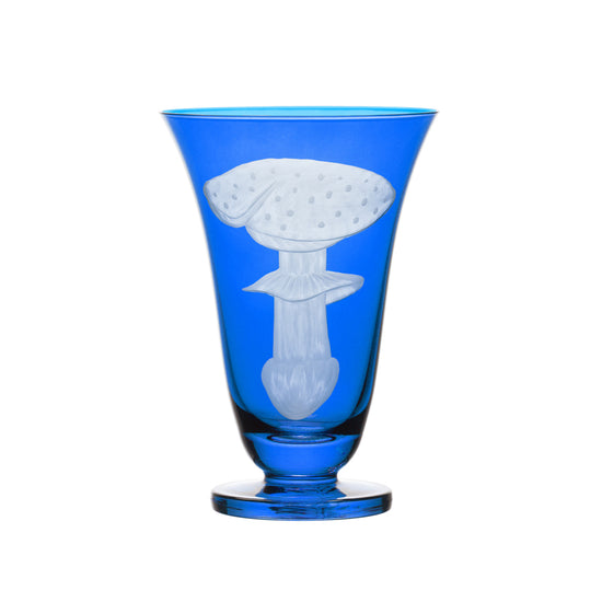 Mushrooms Fly Amanita