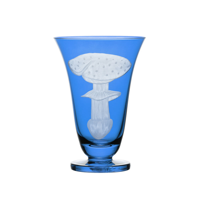 Mushrooms Fly Amanita