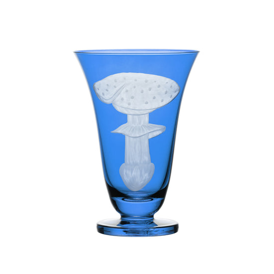 Mushrooms Fly Amanita