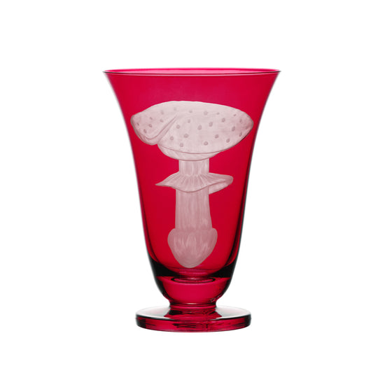 Mushrooms Fly Amanita