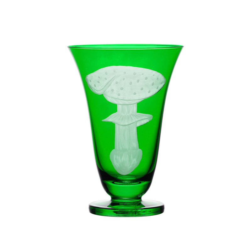 Mushrooms Fly Amanita