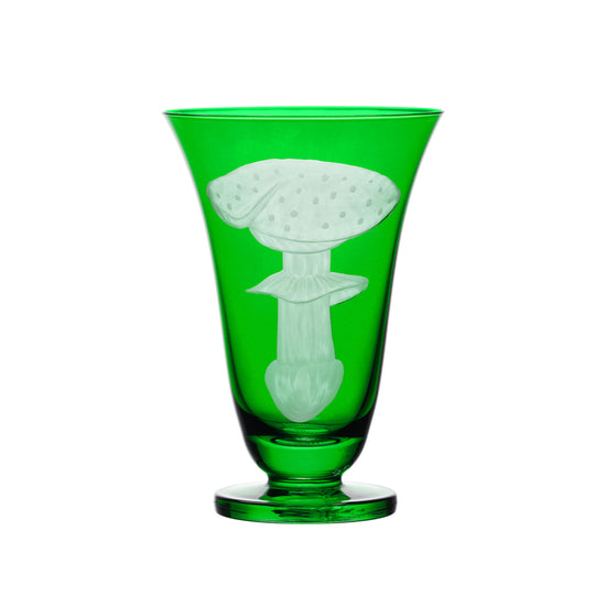 Mushrooms Fly Amanita