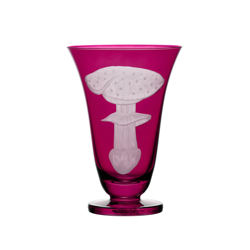 Mushrooms Fly Amanita