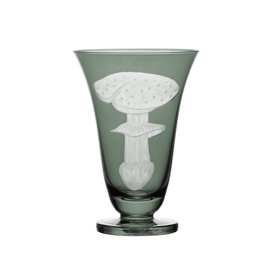 Mushrooms Fly Amanita