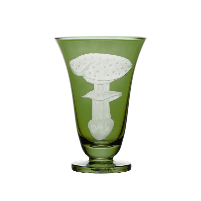 Mushrooms Fly Amanita