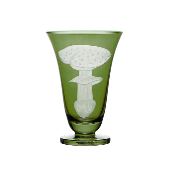 Mushrooms Fly Amanita