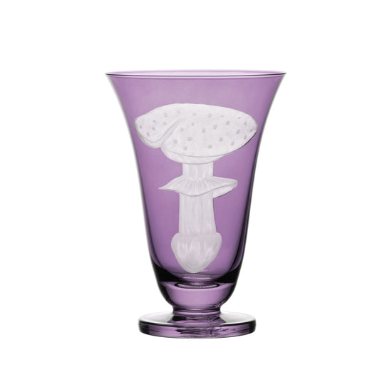 Mushrooms Fly Amanita