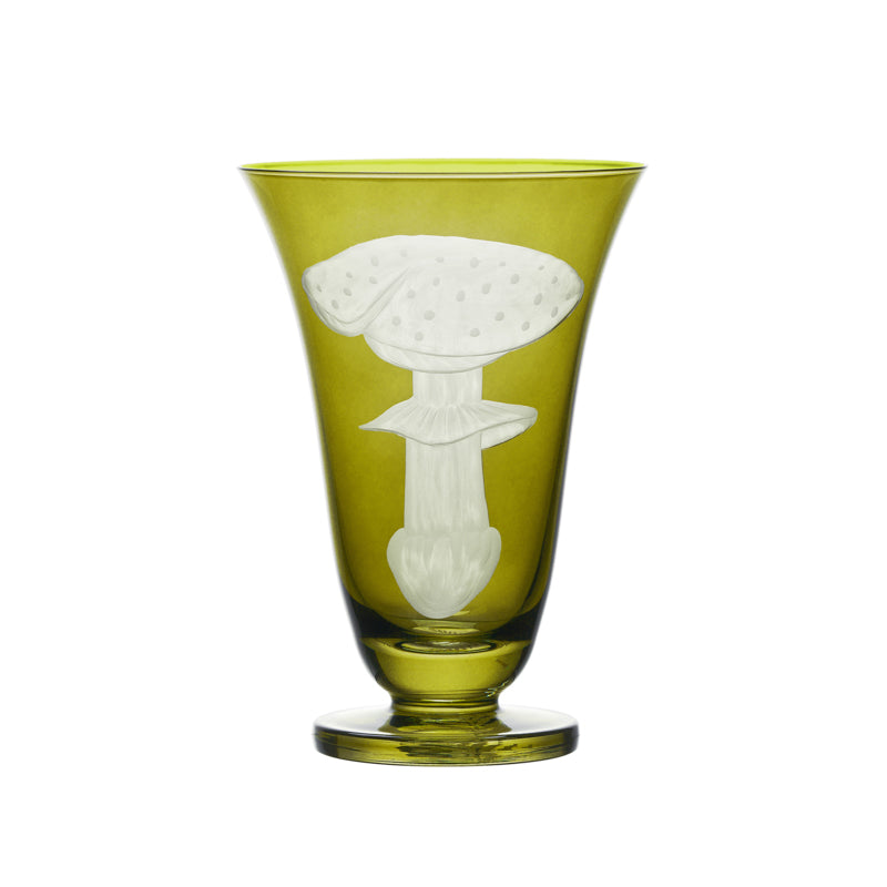 Mushrooms Fly Amanita