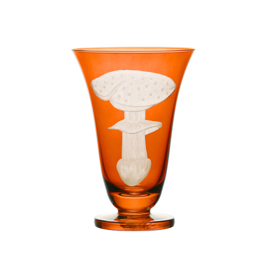 Mushrooms Fly Amanita