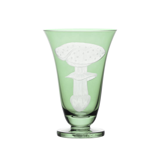 Mushrooms Fly Amanita