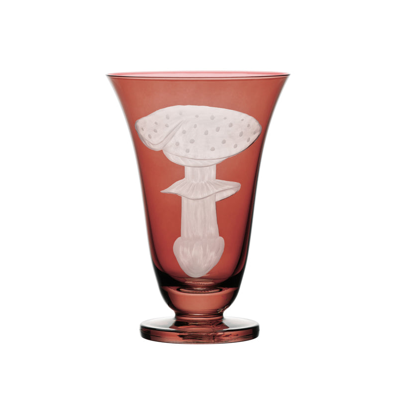 Mushrooms Fly Amanita