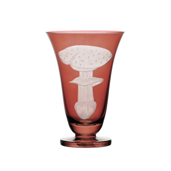 Mushrooms Fly Amanita