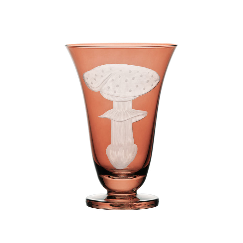 Mushrooms Fly Amanita