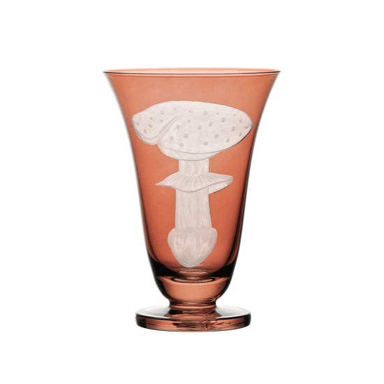 Mushrooms Fly Amanita