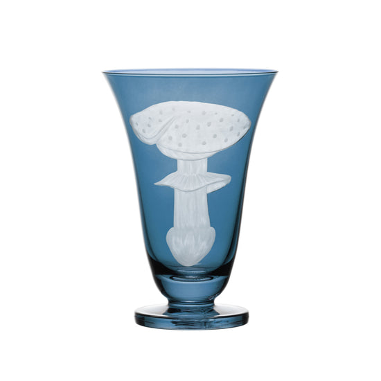 Mushrooms Fly Amanita