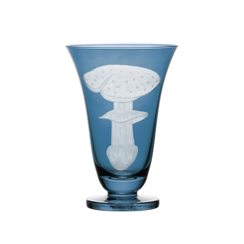 Mushrooms Fly Amanita