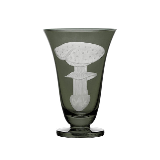 Mushrooms Fly Amanita