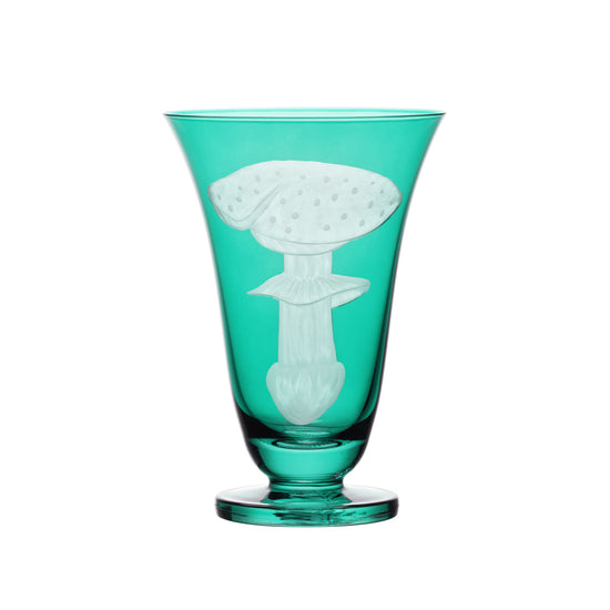 Mushrooms Fly Amanita