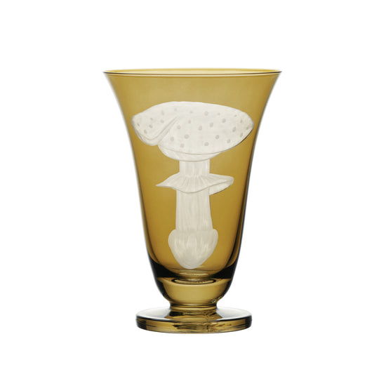 Mushrooms Fly Amanita