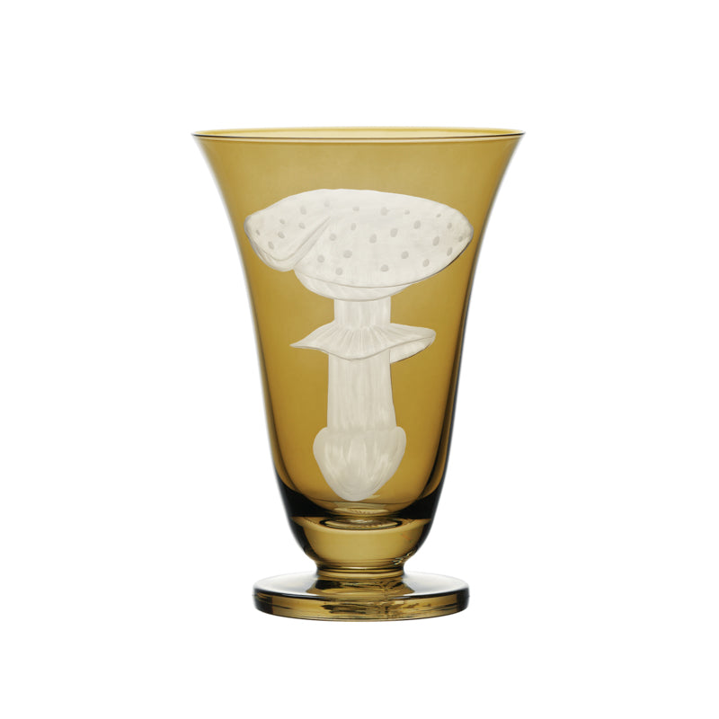 Mushrooms Fly Amanita