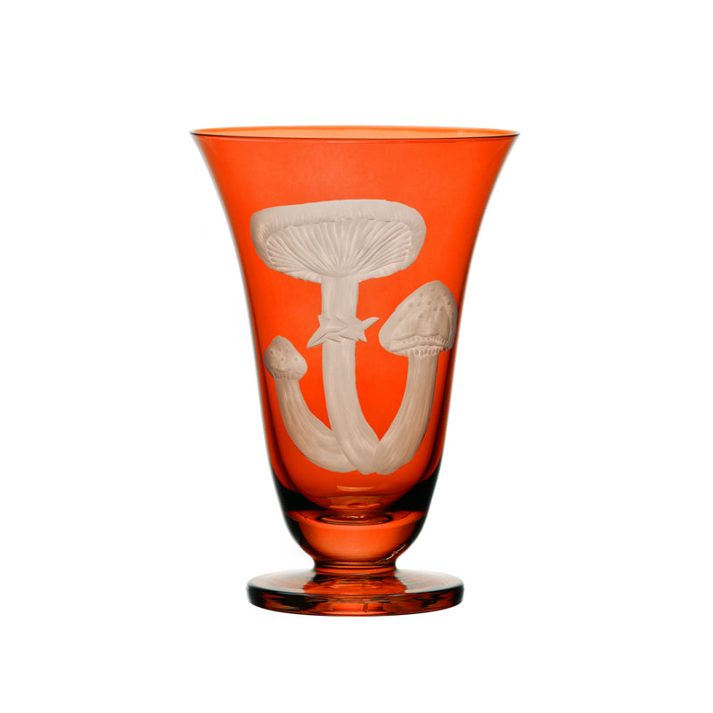 Mushrooms Honey Fungus