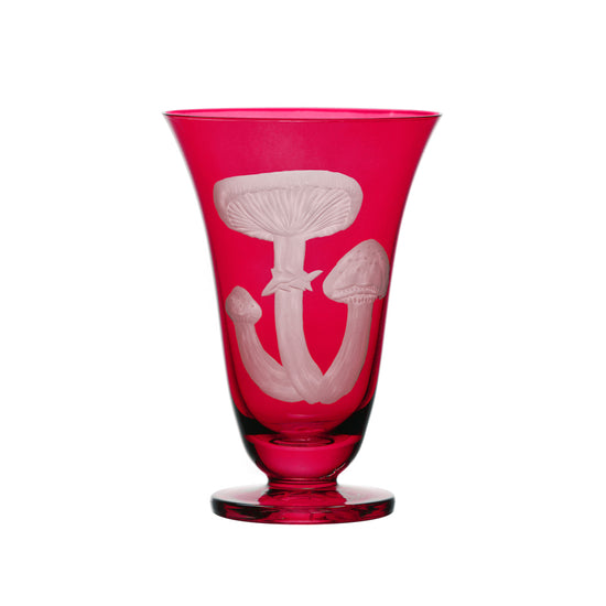 Mushrooms Honey Fungus