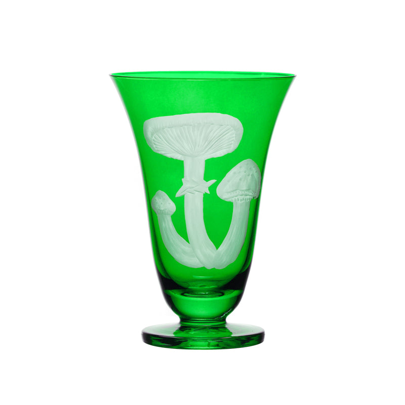 Mushrooms Honey Fungus