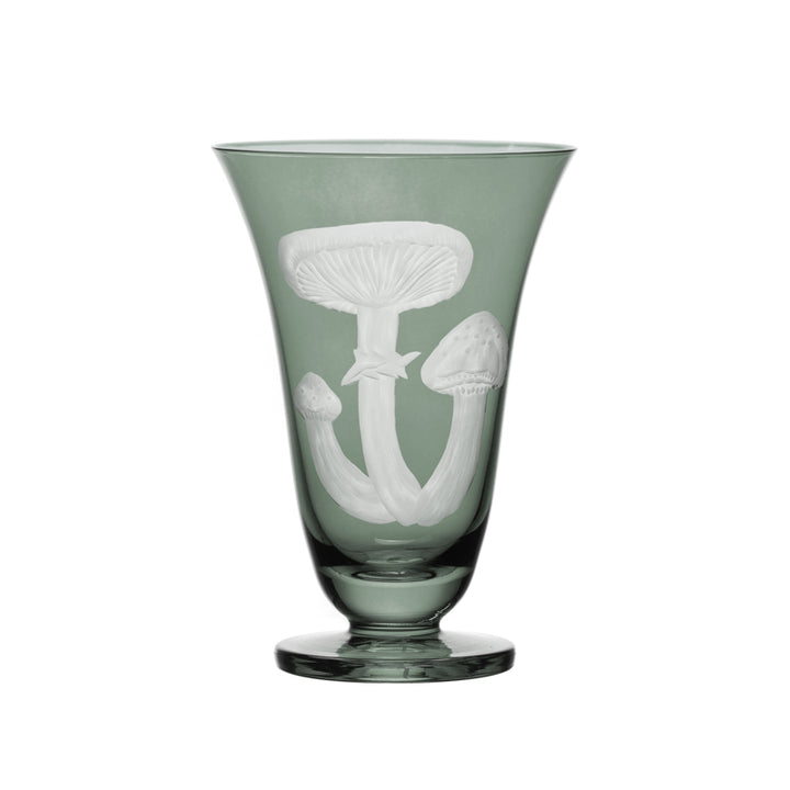 Mushrooms Honey Fungus