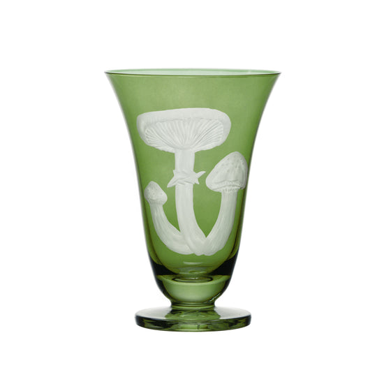 Mushrooms Honey Fungus