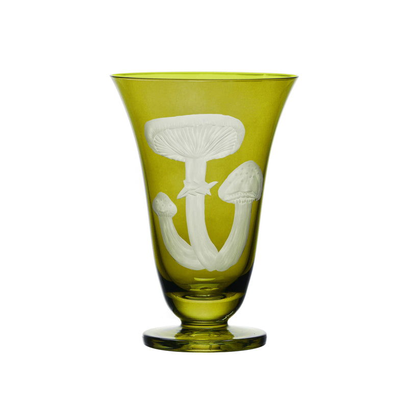 Mushrooms Honey Fungus