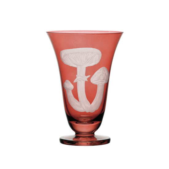 Mushrooms Honey Fungus