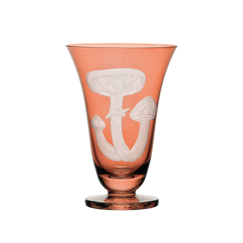 Mushrooms Honey Fungus