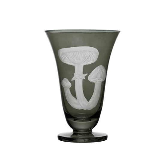 Mushrooms Honey Fungus