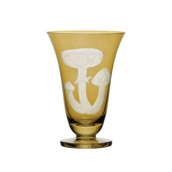 Mushrooms Honey Fungus