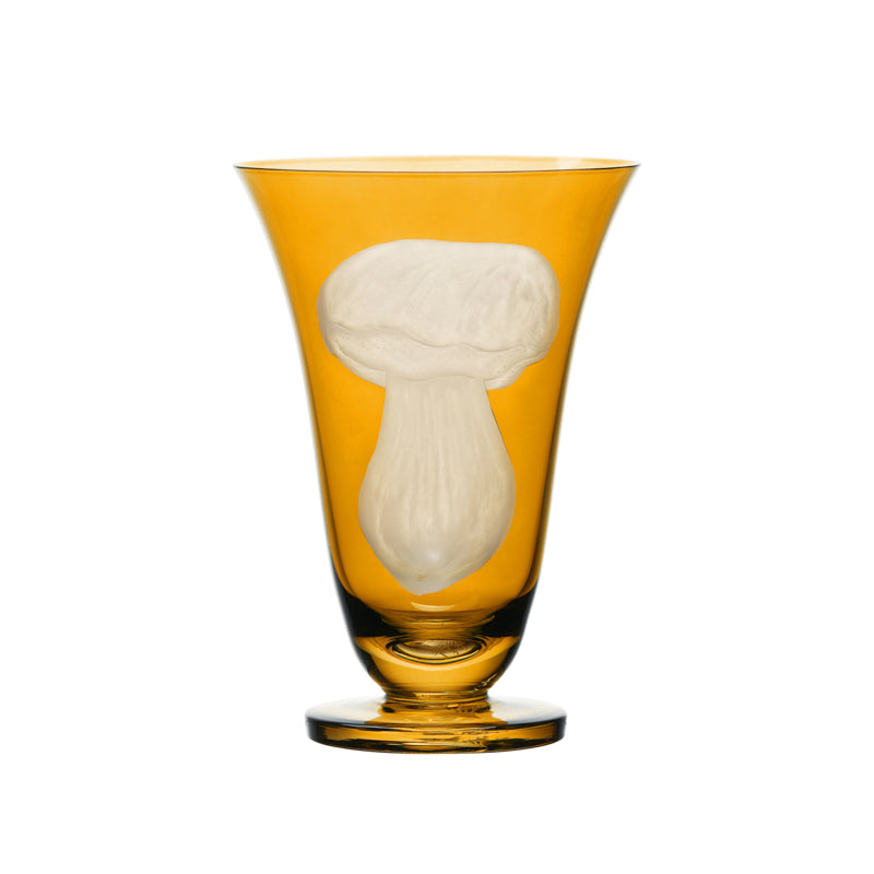 Mushrooms Summer Cep