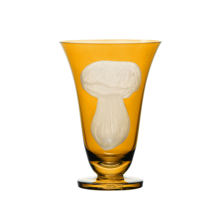 Mushrooms Summer Cep