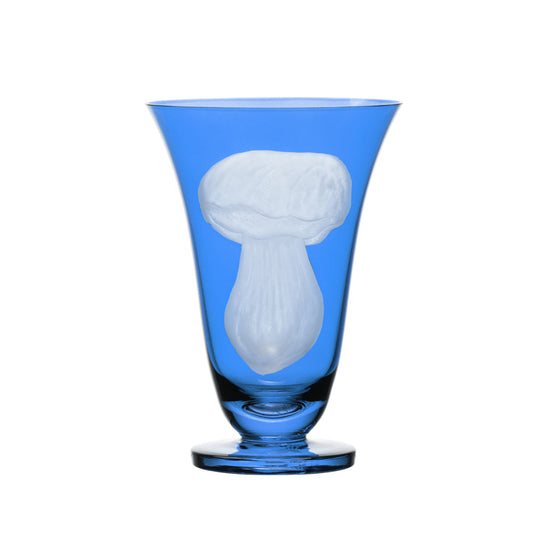 Mushrooms Summer Cep