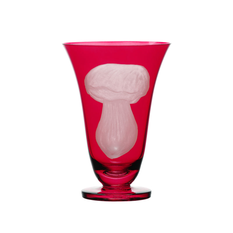 Mushrooms Summer Cep