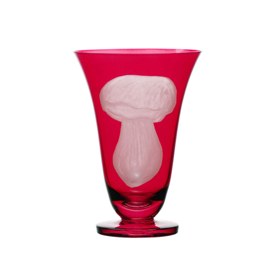 Mushrooms Summer Cep