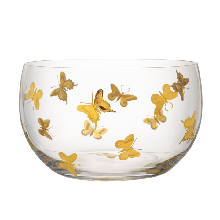 Fly Fusion Butterfly