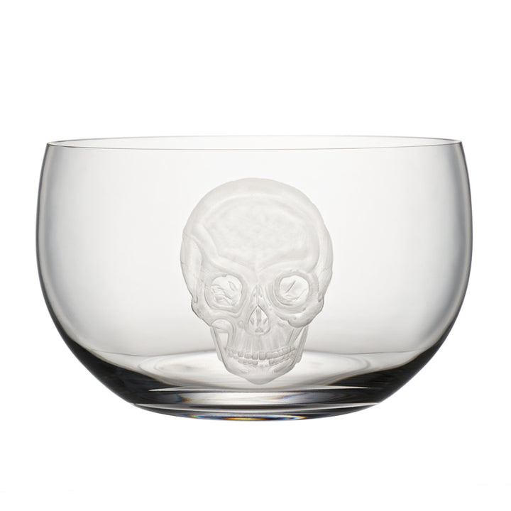 Cabinet of Curiosities Skull