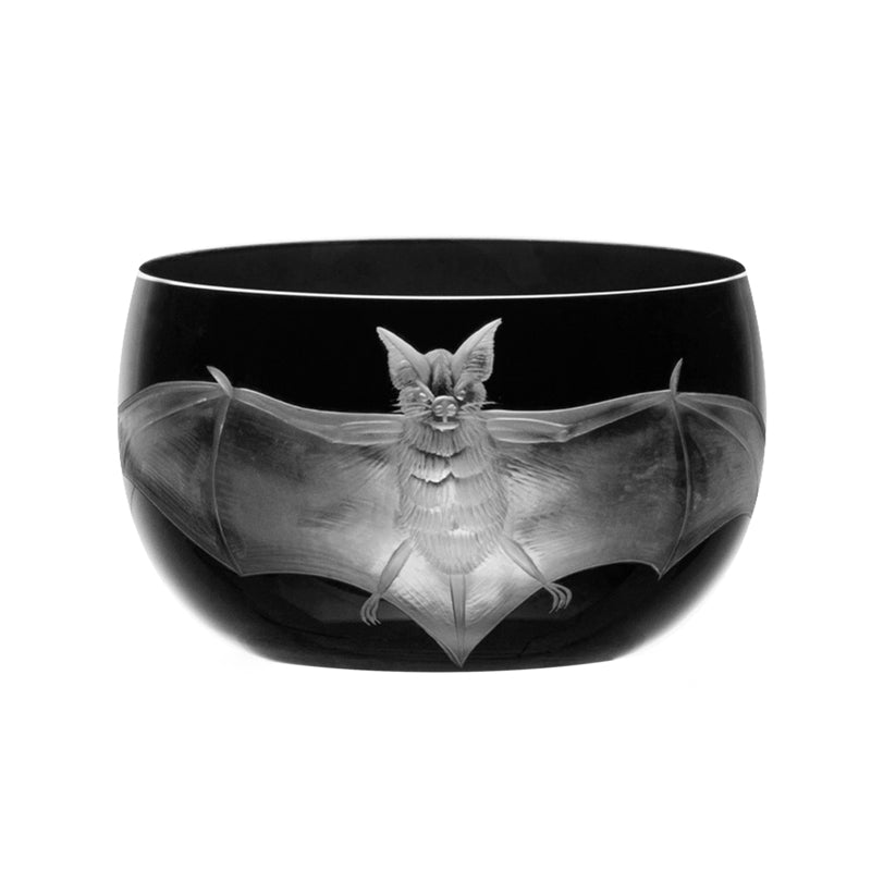 Cabinet of Curiosities Bat