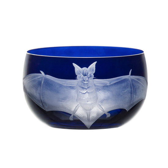 Cabinet of Curiosities Bat